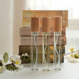 NOAeveryday Scent Eau de Parfum – Soft Fragrance | Daily Wear & Long Lasting